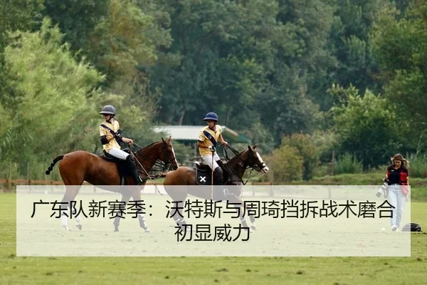 guang-dong-dui-xin-sai-ji-wo-te-si-yu-zhou-qi-dang-chai-zhan-shu-mo-he-chu-xian-wei-li-2-602.jpg